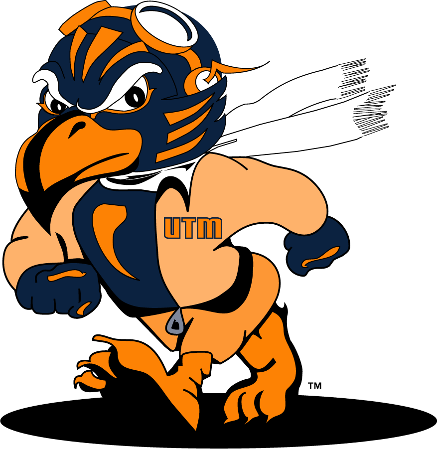 Tennessee-Martin Skyhawks 2007-2020 Mascot Logo v2 diy iron on heat transfer